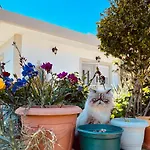 Garden House Σπίτι διακοπών *