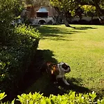Garden House *