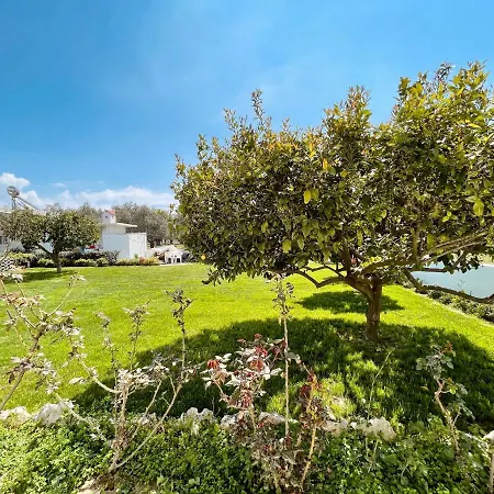 Garden House Tatil Evi