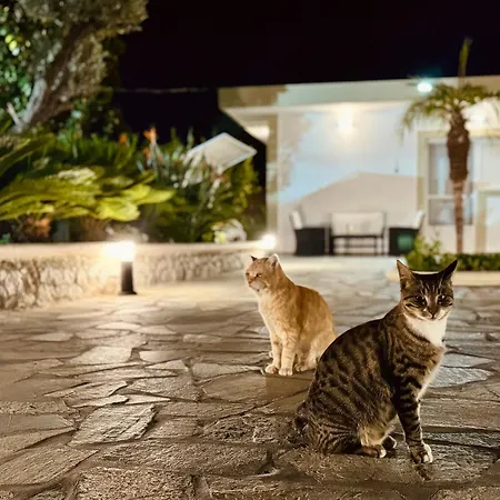 Archangelos Garden House * Archangelos (Rhodes)