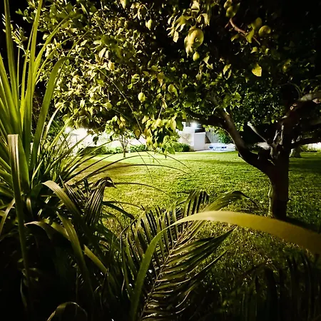 Garden House