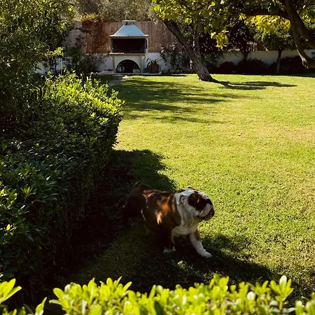 Archangelos Garden House *