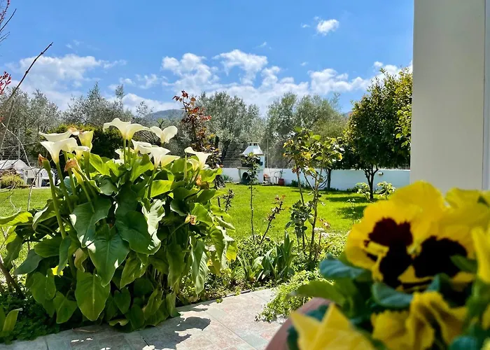 Garden House בית נופש