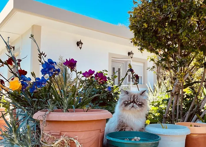 Garden House בית נופש *