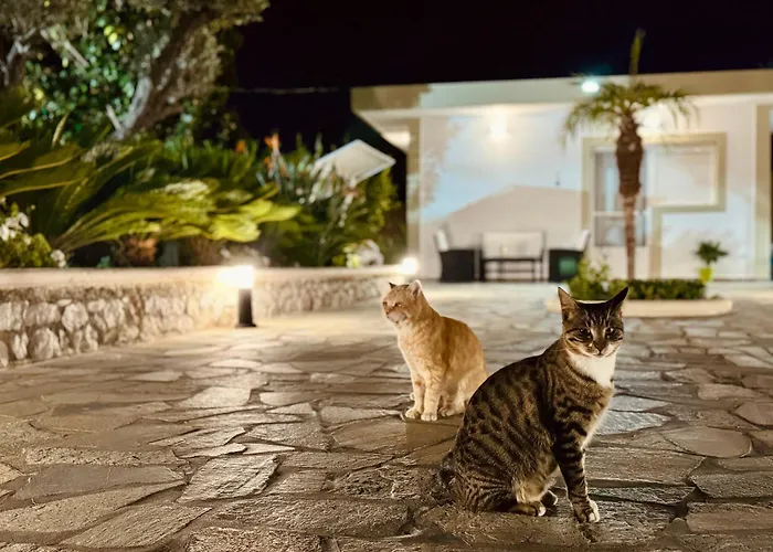 Garden House * ארכאנגלוס