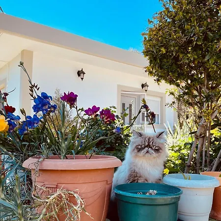 Garden House Σπίτι διακοπών *